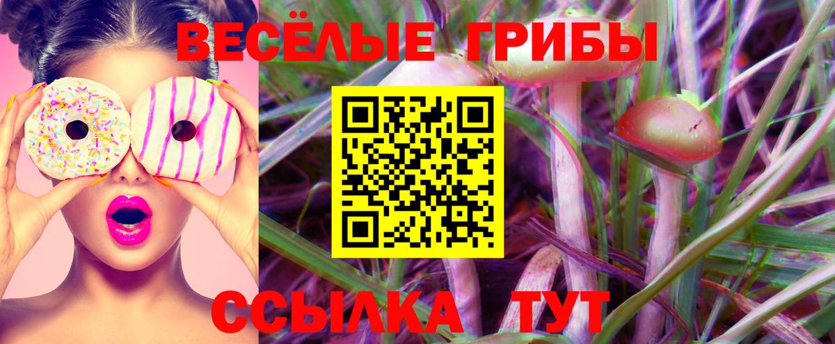 Псилоцибиновые грибы Cubensis Буйнакск